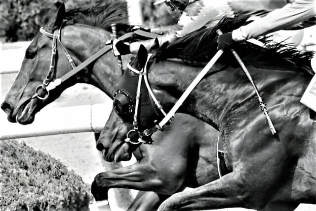 alt"Horse racing"