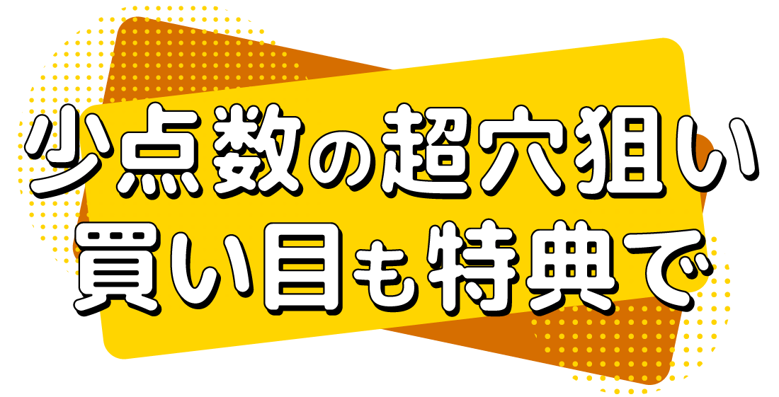 少点数の超穴狙い買い目も特典で